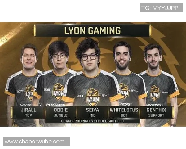 数据分析揭示WE战队配合表现的关键因素与战术优势