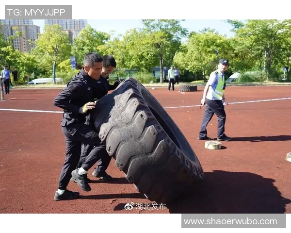 武汉极限运动队状态分析与表现评估的综合研究报告
