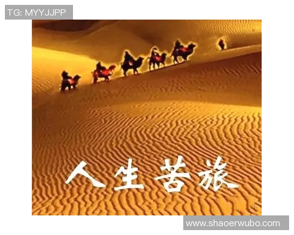 深度对话：吴强如何在网球世界中追寻梦想与挑战人生