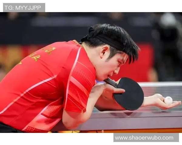 成都乒乓球队技术争议引发热议球迷专家各抒己见探讨未来发展方向