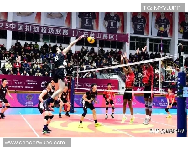 上海排球队比赛经验引发热议球迷对战术选择和临场表现展开激烈讨论