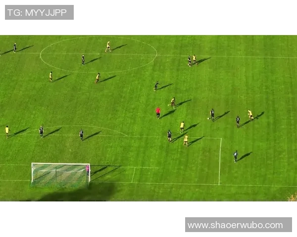 广州足球队的崛起与荣耀揭秘全景展现足球背后的力量与激情