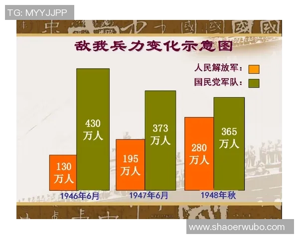 西安排球队防守策略深度分析与战术解读