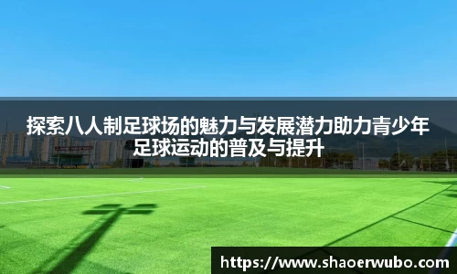 探索八人制足球场的魅力与发展潜力助力青少年足球运动的普及与提升